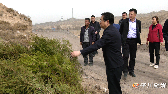 杨恭调研平川区国土绿化工作